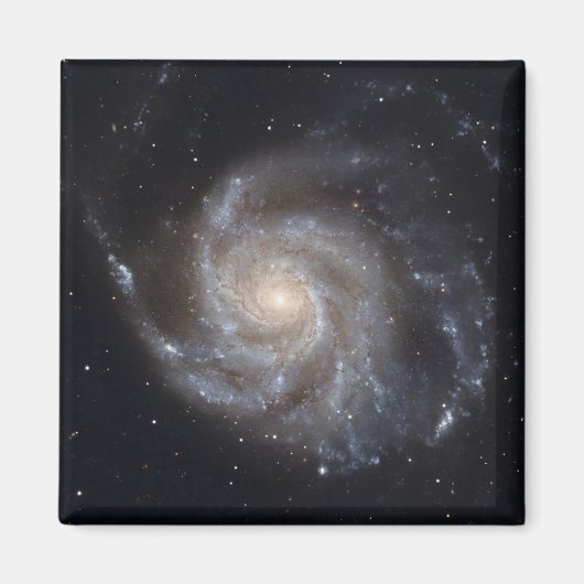 Messier 101, de Pinwheels Galaxy Magneet (Voorkant)