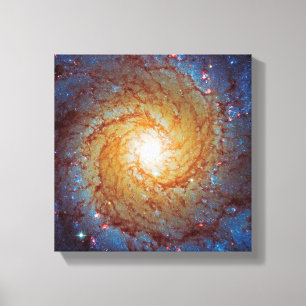Messier 74 Spiraalstelsel Foto van de buitenruimte Canvas Afdruk