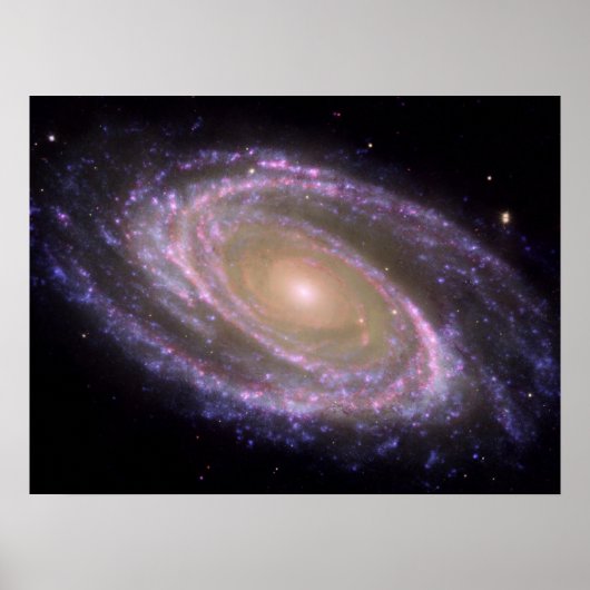 Messier 81 Spiral Galaxy Poster (Voorkant)