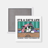 Messy Drawers v.01 - Het is een Cat's Life Magnet (Voorkant / Achterkant)