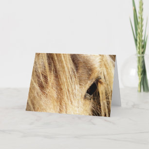 Messy Mane Birthday Kaart