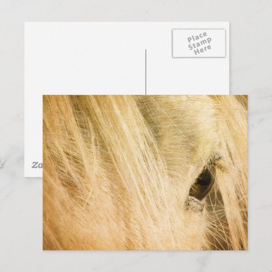 Messy Mane Briefkaart (Voorkant / Achterkant)