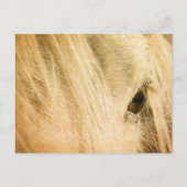 Messy Mane Briefkaart (Voorkant)