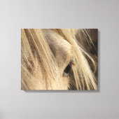 Messy Mane Canvas Afdruk (Voorkant)