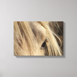 Messy Mane Canvas Afdruk