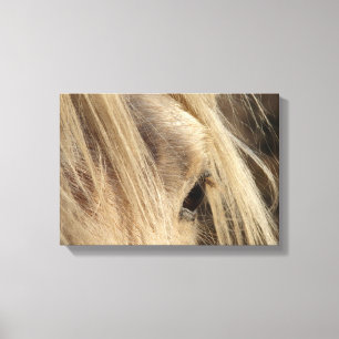 Messy Mane Canvas Afdruk