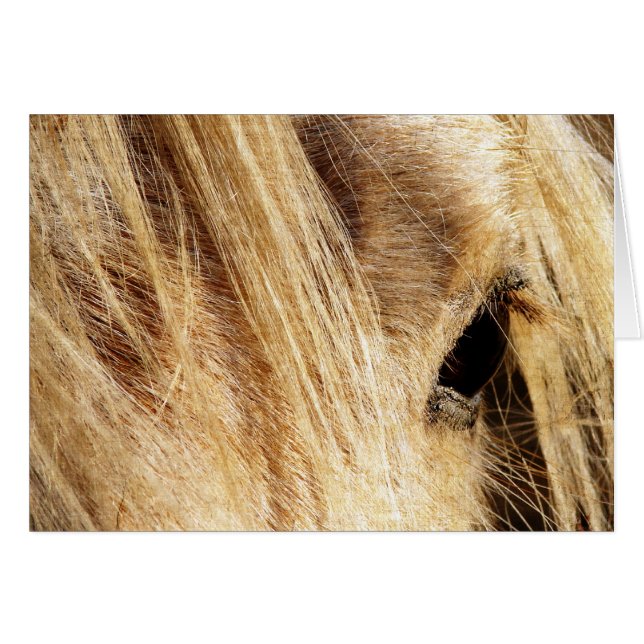 Messy Mane Day (Voorkant Horizontaal)