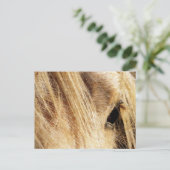 Messy Mane Day Briefkaart (Staand voorkant)