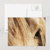 Messy Mane Day Briefkaart (Voorkant / Achterkant)