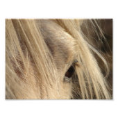 Messy Mane Day Foto Afdruk (Voorkant)