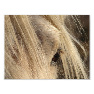 Messy Mane Day Foto Afdruk