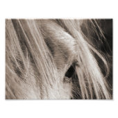 Messy Mane Day Foto Afdruk (Voorkant)