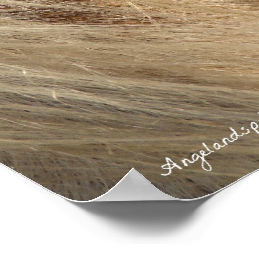 Messy Mane Poster (Hoek)