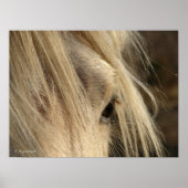 Messy Mane Poster (Voorkant)