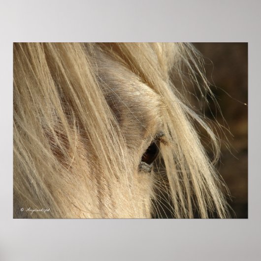 Messy Mane Poster (Voorkant)