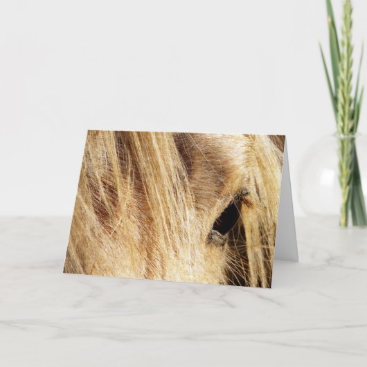 Messy Mane, Vaderdag Kaart (Voorkant)