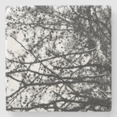 Messy PineCones Stenen Onderzetter (Voorkant)