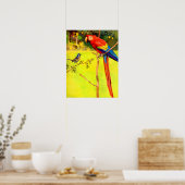 mest en papegaai poster (Keuken)