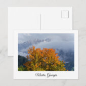 Mestia Georgia postcard Briefkaart (Voorkant / Achterkant)
