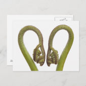 Mestkiemen 2 briefkaart (Voorkant / Achterkant)