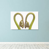 Mestkiemen 2 canvas afdruk (Insitu (Houten vloer))