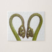 Mestkiemen 2 legpuzzel (Horizontaal)