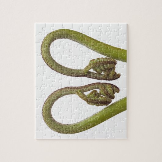 Mestkiemen 2 legpuzzel (Verticaal)