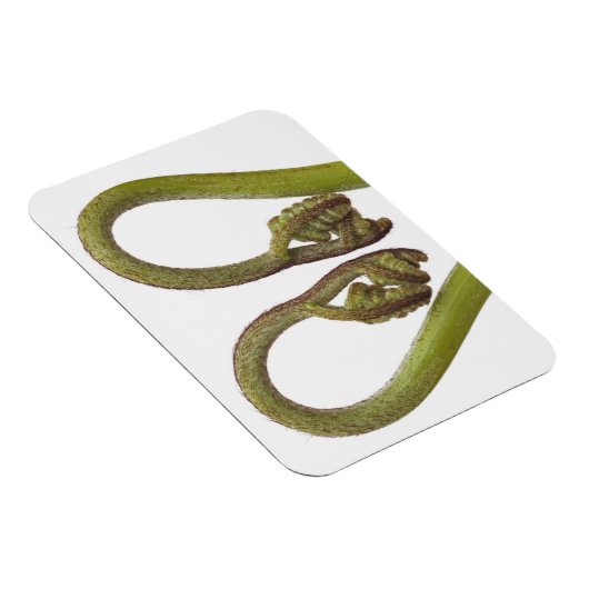 Mestkiemen 2 magneet (Rechterzijde)