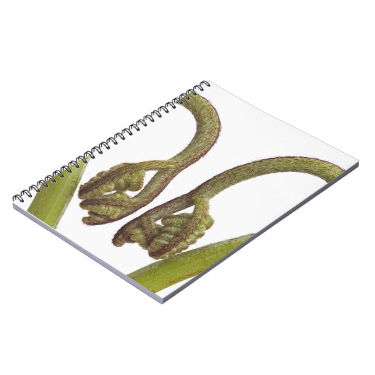 Mestkiemen 2 notitieboek (Linkerzijde)