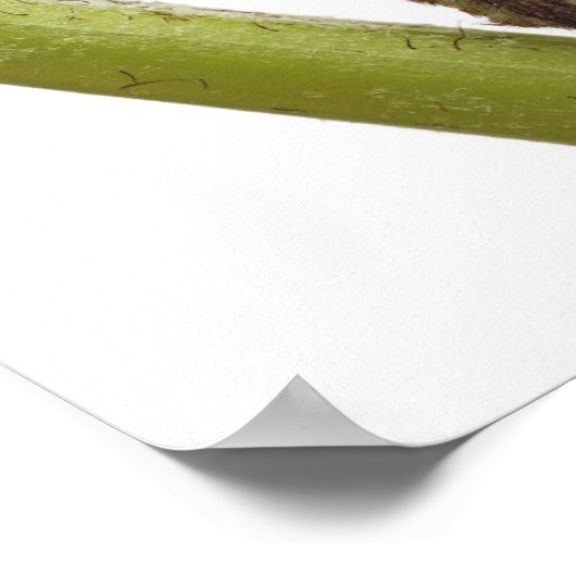 Mestkiemen 2 poster (Hoek)