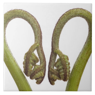 Mestkiemen 2 tegeltje