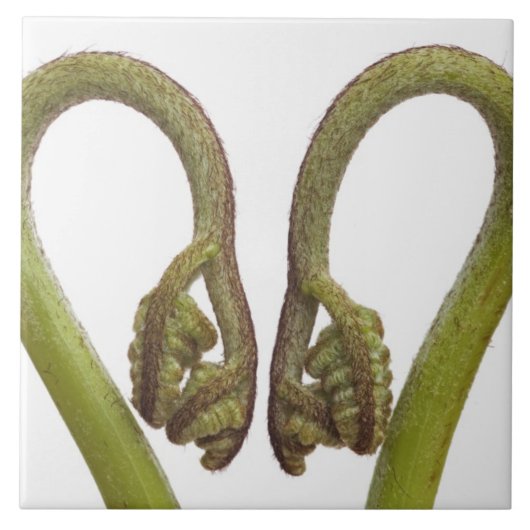 Mestkiemen 2 tegeltje (Voorkant)