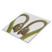 Mestkiemen 2 tegeltje (Zijkant)