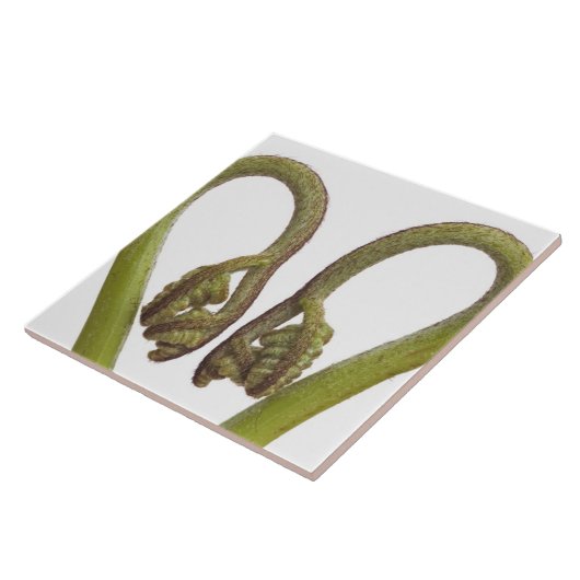 Mestkiemen 2 tegeltje (Zijkant)