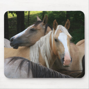 Mestkussen voor paarden muismat