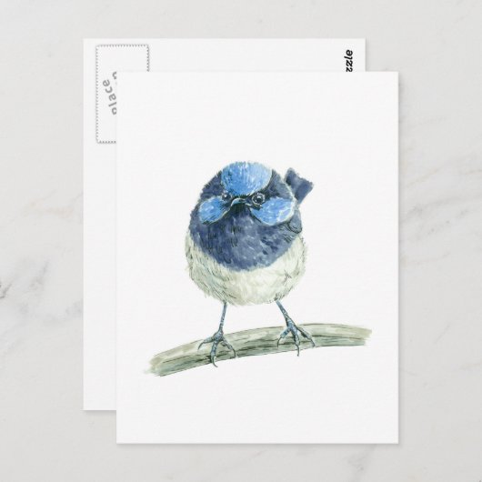 Mestoornren Briefkaart (Voorkant / Achterkant)