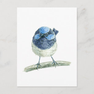Mestoornren Briefkaart