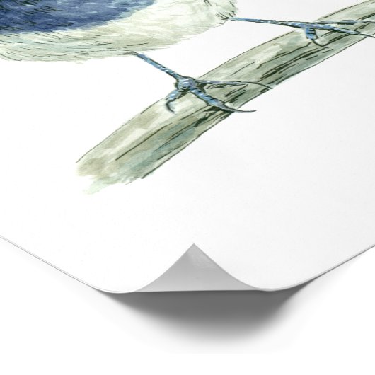 Mestoornren Poster (Hoek)