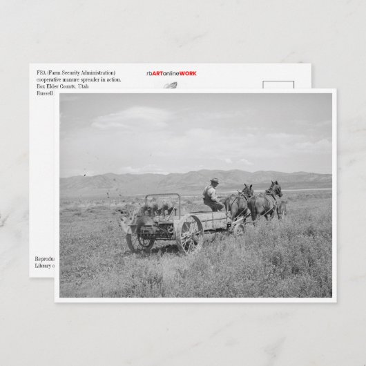 Mestspreadres Briefkaart (Voorkant / Achterkant)