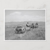 Mestspreadres Briefkaart (Voorkant)