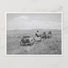 Mestspreadres Briefkaart