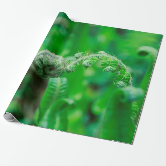 Meststoffen Cadeaupapier (Uitgerold)