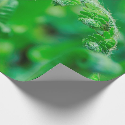 Meststoffen Cadeaupapier (Hoek)