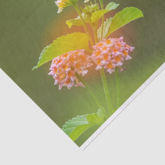 Mestvogel met papier uit bloemen (Detail)