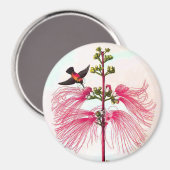 Mestvogels mimosa-boombloeivogel magneet (Voorkant / Achterkant)