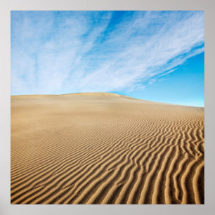 Mesvrij Flats Sand Dunes Poster