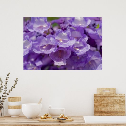 Mesvrij ventilator poster (Keuken)