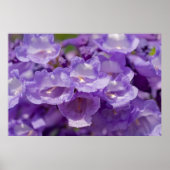 Mesvrij ventilator poster (Voorkant)