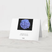 Met alle oprechte sympathie kaart (Achterkant)