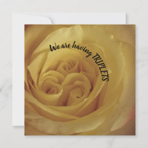 met Baby van Triplets Yellow Rose Kaart